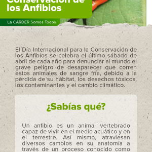 Día Internacional para la Conservación de los Anfibios.