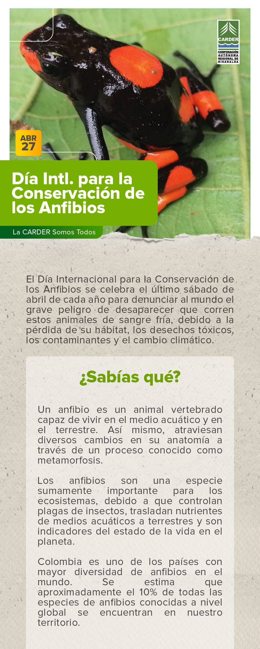Día Internacional para la Conservación de los Anfibios.