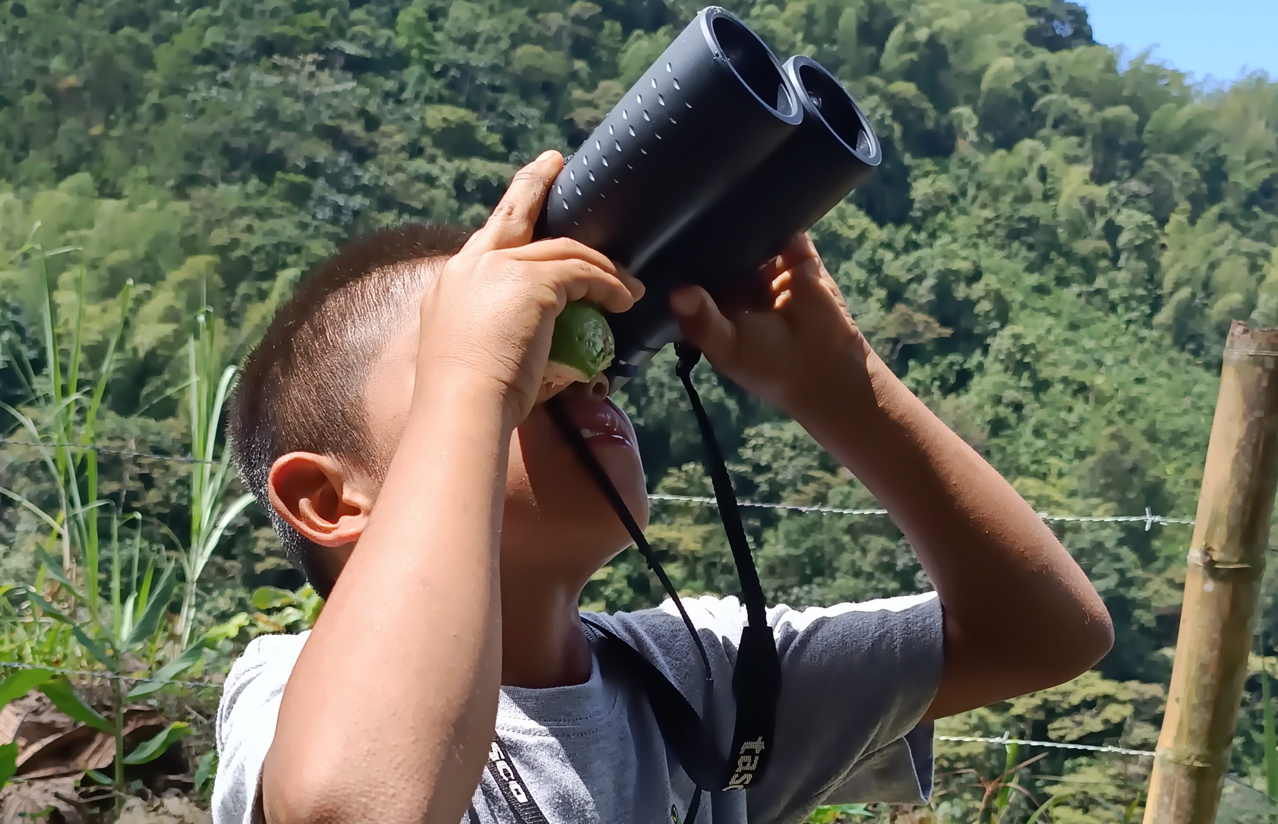 Semilleros de observadores de aves: un impulso para la conservación en el DRMI Cuchilla del San Juan