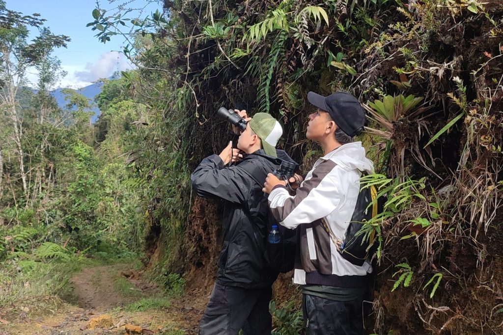 Risaralda y el DRMI Cuchilla del San Juan brillan en el Global Big Day: un aporte destacado a la observación de aves en Colombia