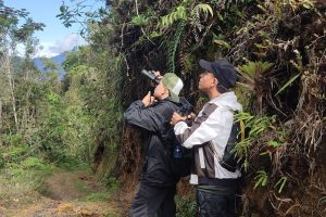 Risaralda y el DRMI Cuchilla del San Juan brillan en el Global Big Day: un aporte destacado a la observación de aves en Colombia