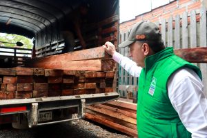 La CARDER continúa haciéndole frente a la comercialización de madera ilegal