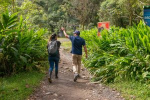 ¿Quieres visitar la zona de El Cedral?, ten en cuenta estas recomendaciones