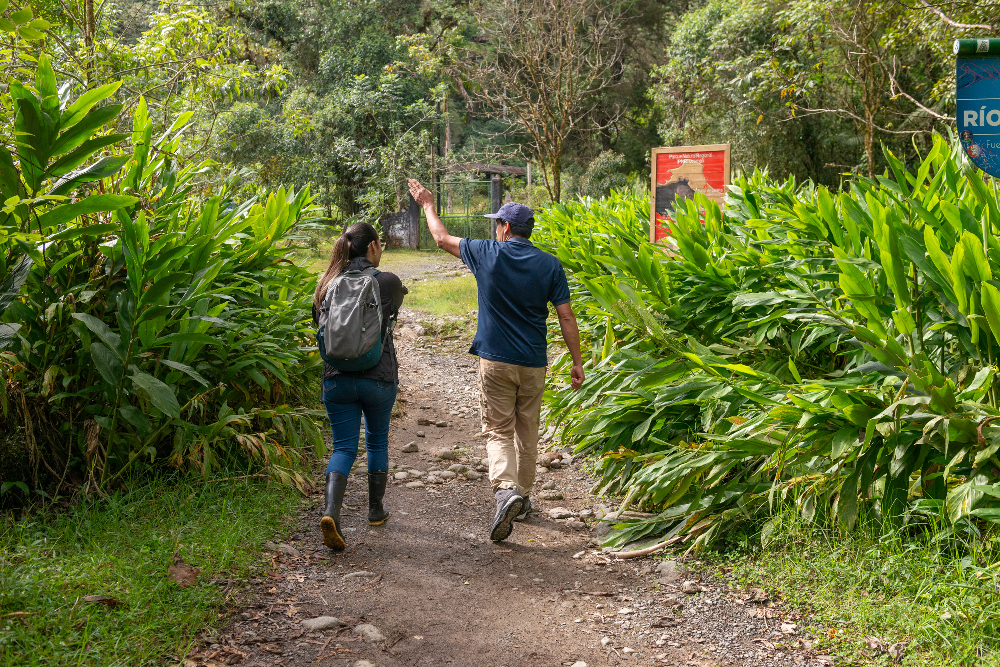 ¿Quieres visitar la zona de El Cedral?, ten en cuenta estas recomendaciones