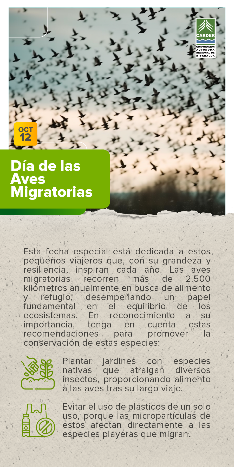 Día Mundial de las Aves Migratorias.