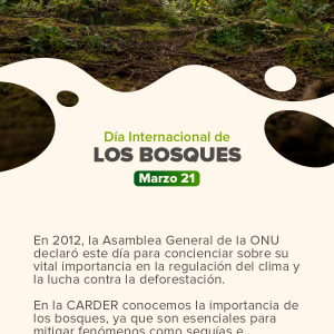 Día Internacional de los Bosques