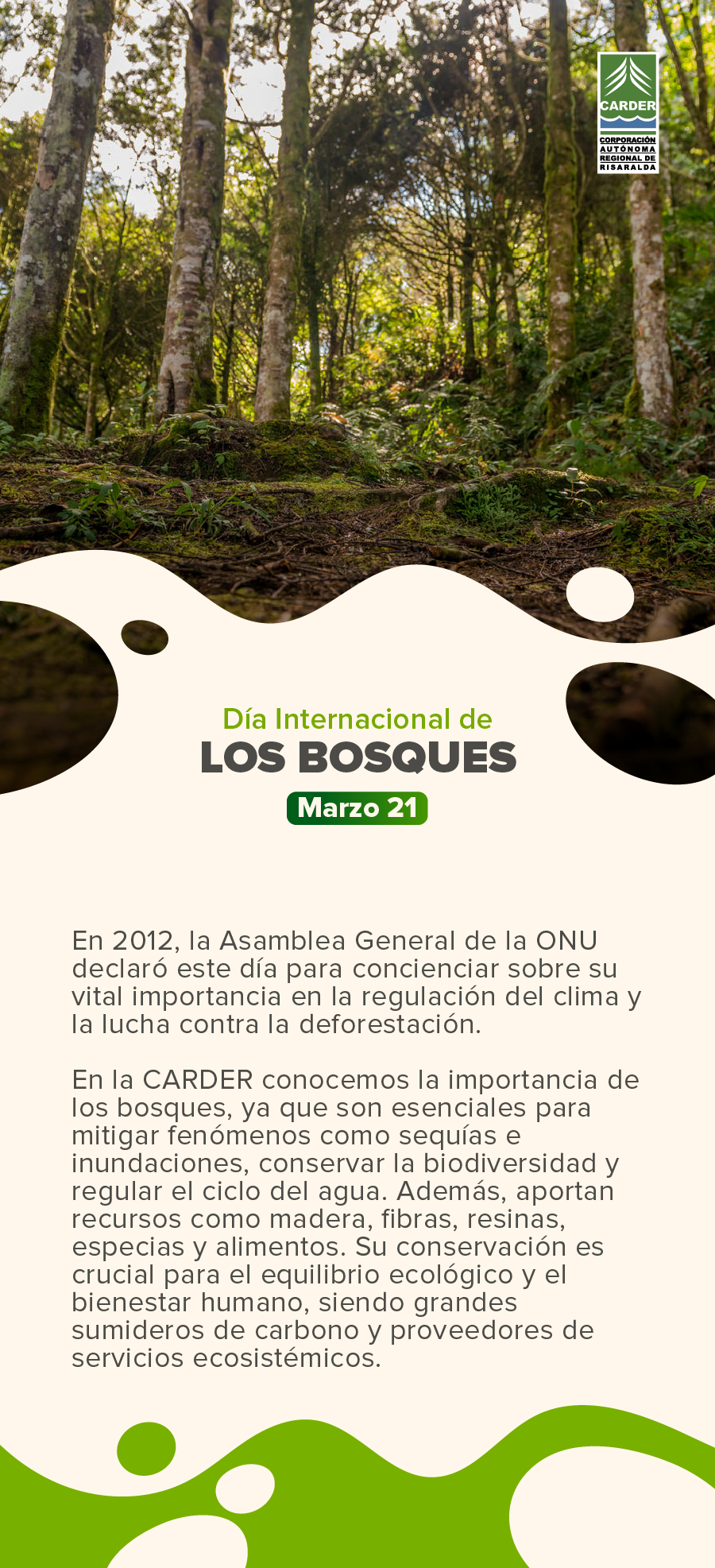 Día Internacional de los Bosques