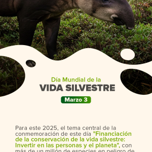 Día Mundial de la Vida Silvestre.
