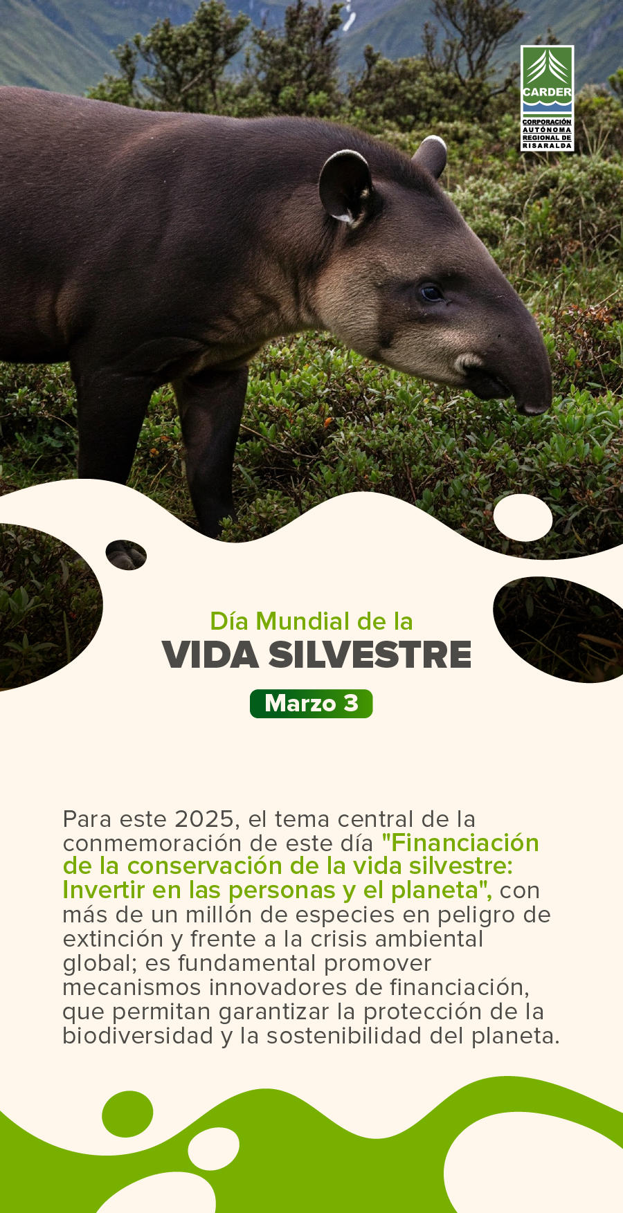 Día Mundial de la Vida Silvestre.