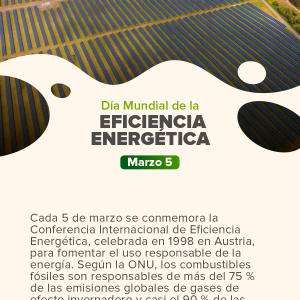Día Mundial de la Eficiencia Energética