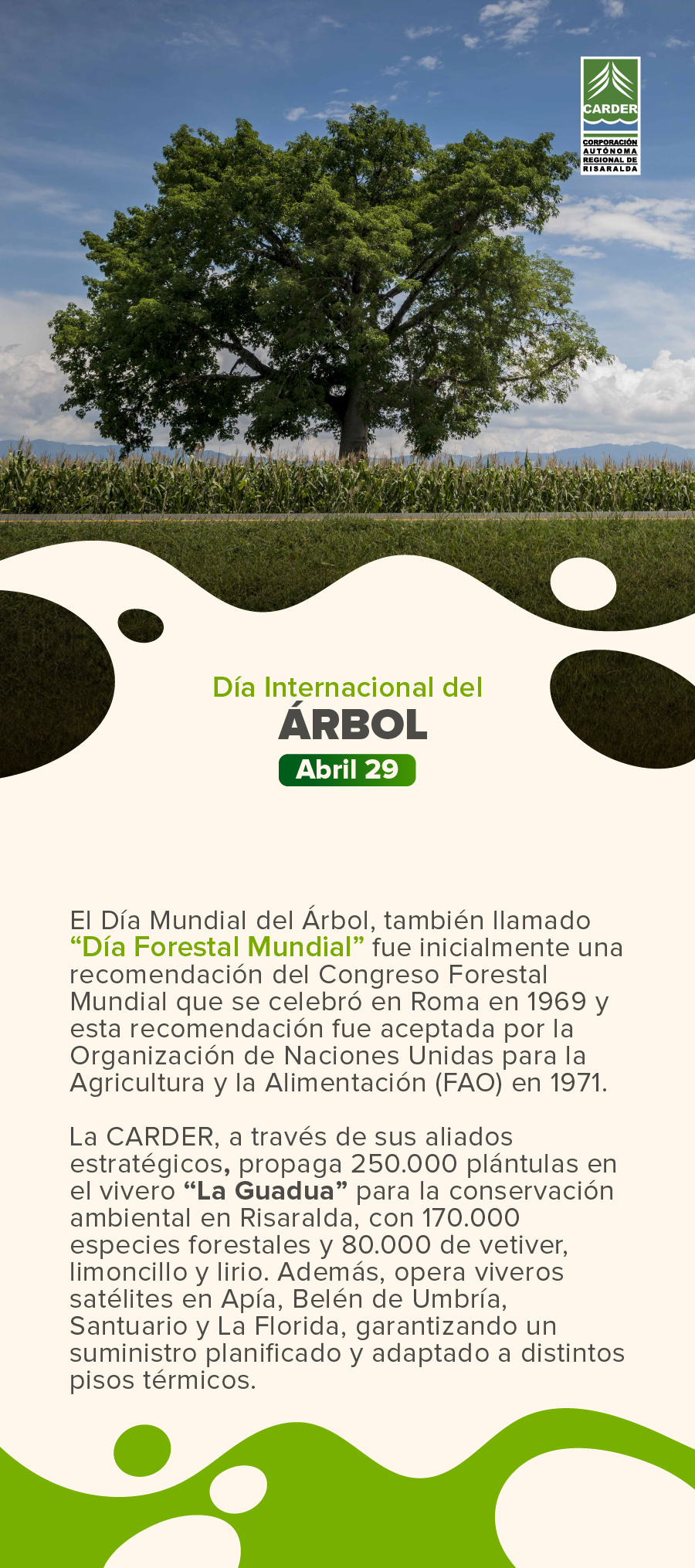 Día Nacional del Árbol.