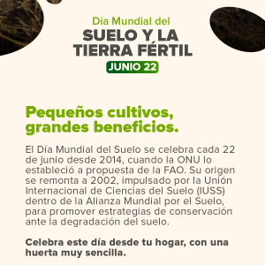 Día Mundial del Suelo y de la Tierra Fértil