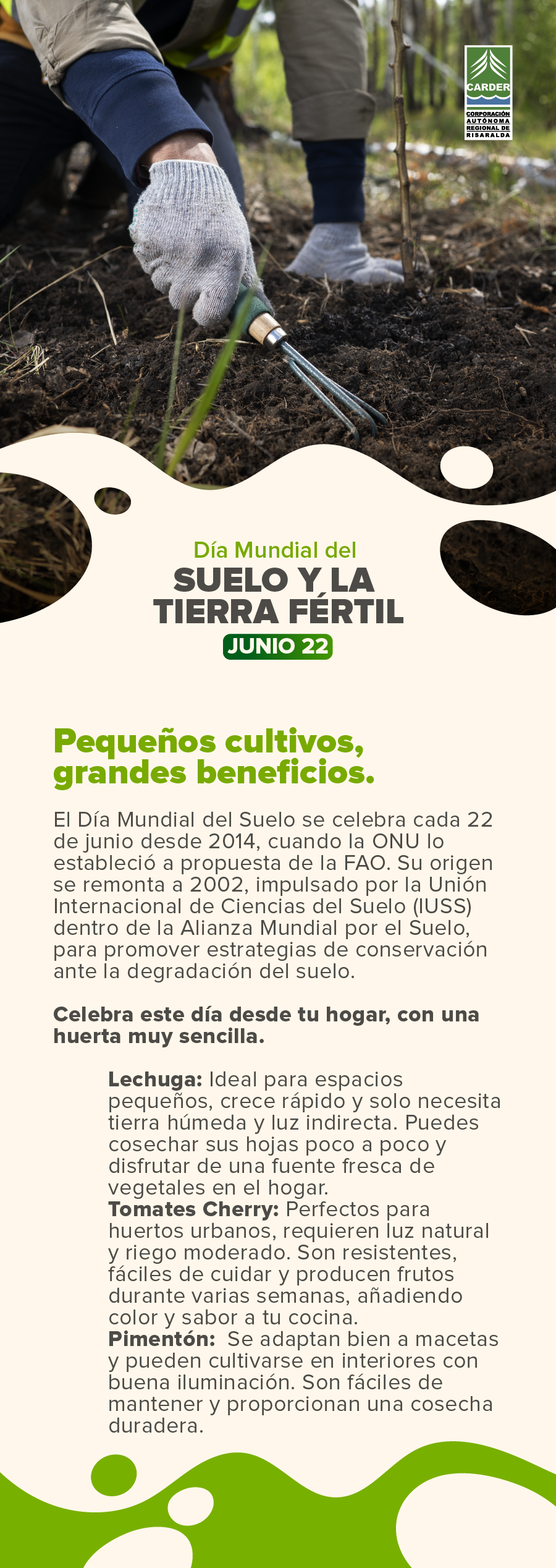 Día Mundial del Suelo y de la Tierra Fértil