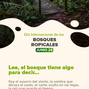 Día Internacional de los Bosques Tropicales.