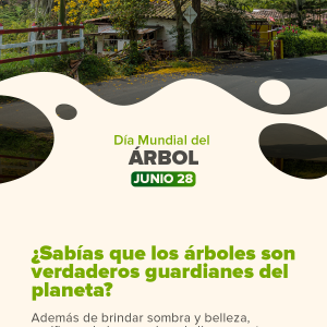 Día Mundial del Árbol.