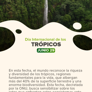 Día Internacional de los Trópicos