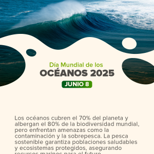 Día Mundial de los Océanos