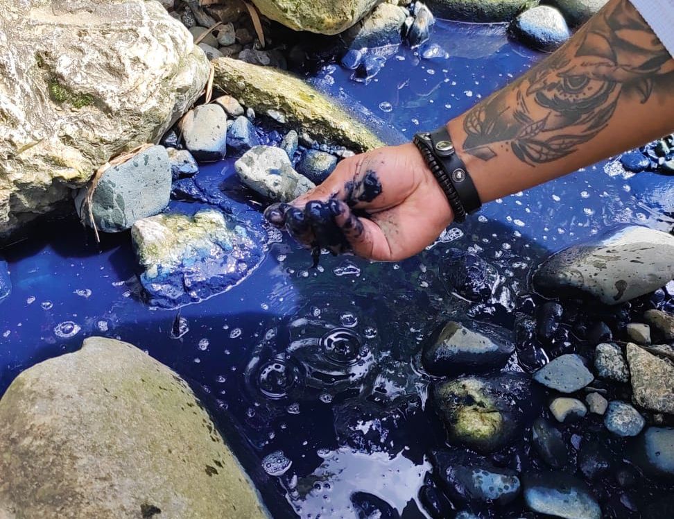 La CARDER atendió denuncias ambientales en Dosquebradas y Cerritos durante el fin de semana