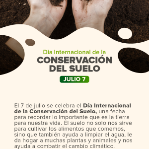 Día Internacional de la Conservación del Suelo.