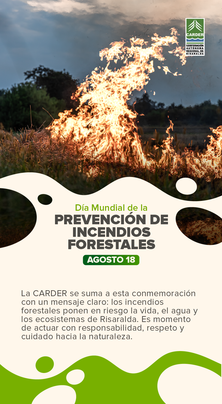 Día Mundial de la Prevención de Incendios Forestales.