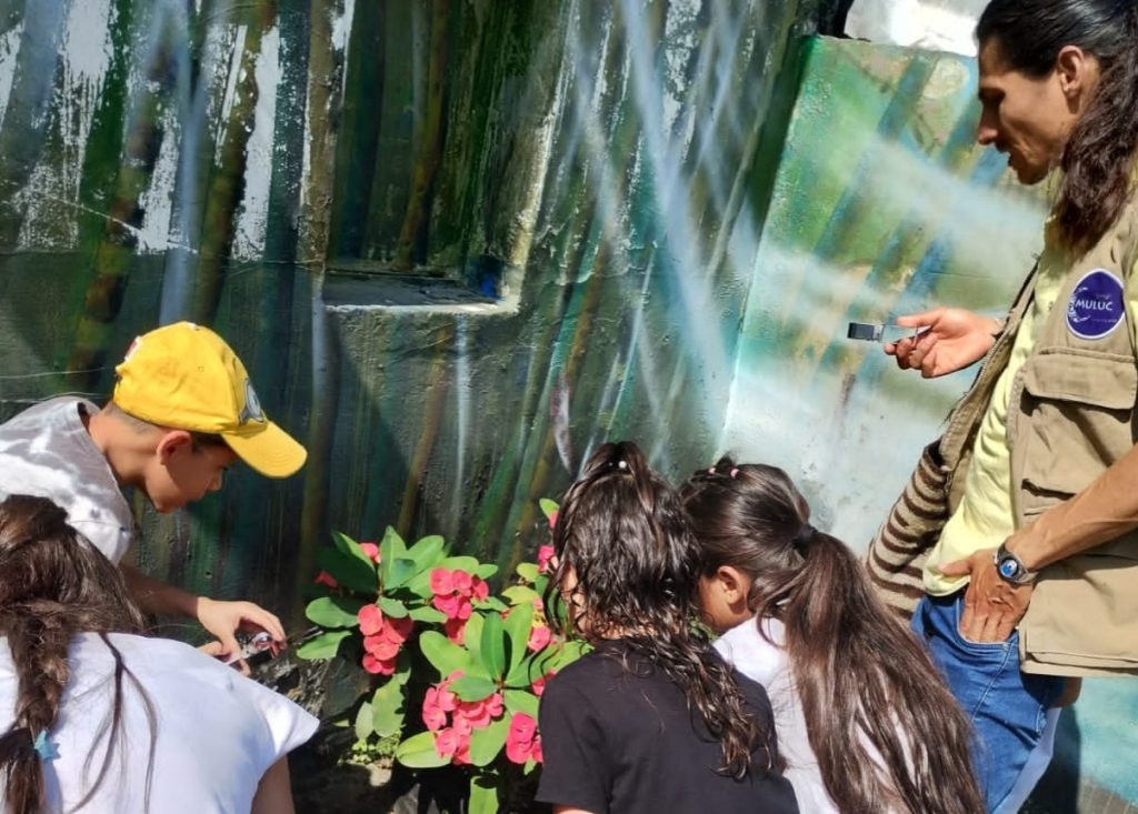 La CARDER impulsa la educación ambiental en Pereira a través del proyecto de protección de polinizadores