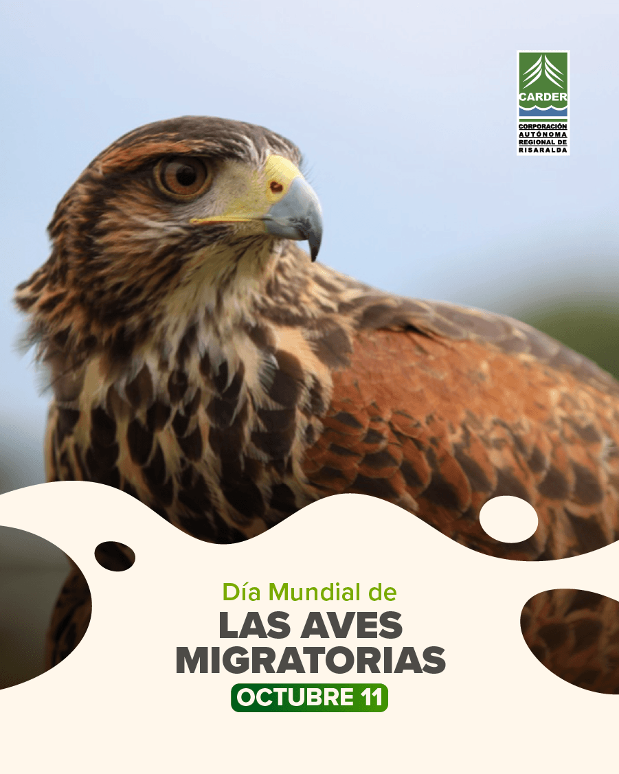 Día Mundial de las Aves Migratorias