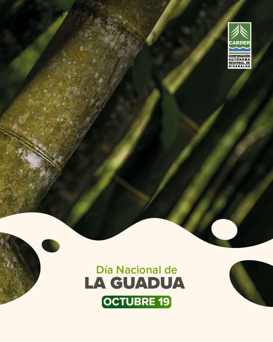 Día Nacional de La Guadua