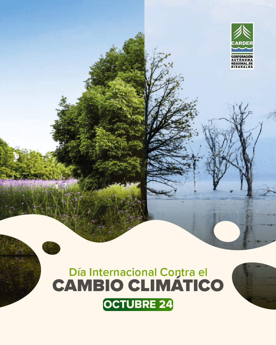Día Internacional contra el Cambio Climático