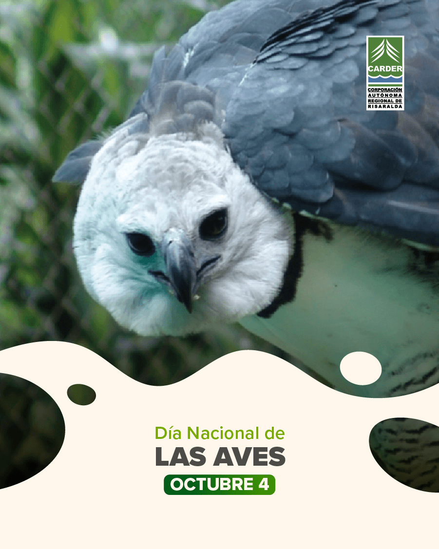 Día Nacional de las aves