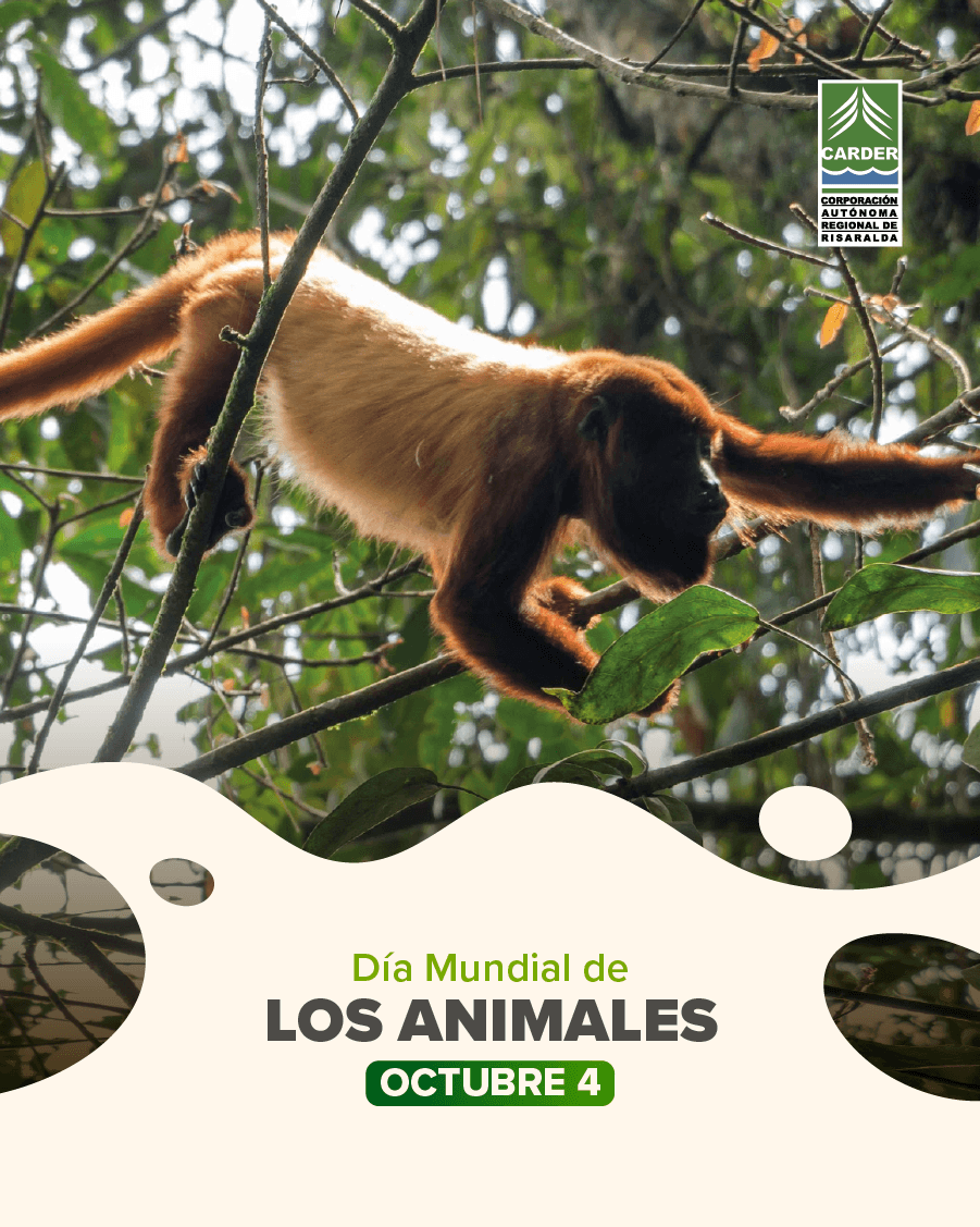 Día Mundial de los Animales