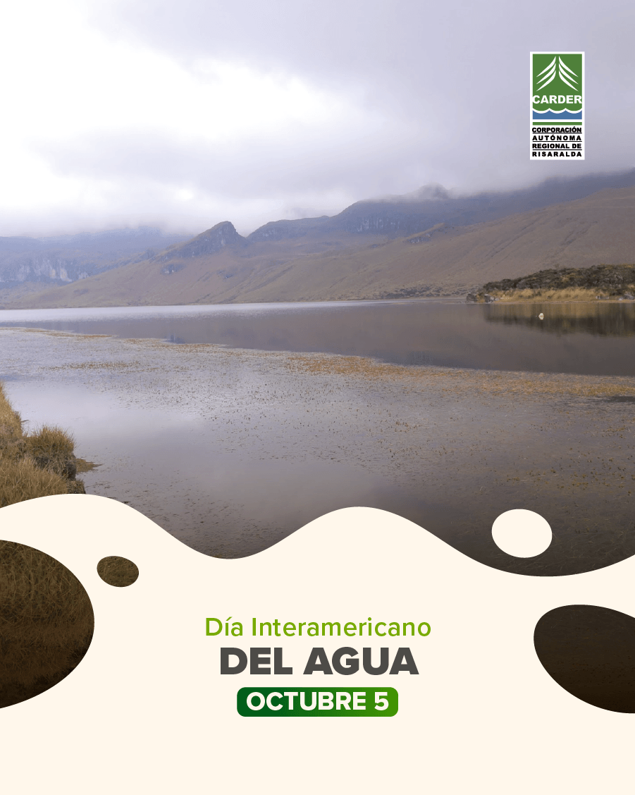 Día Interamericano del Agua