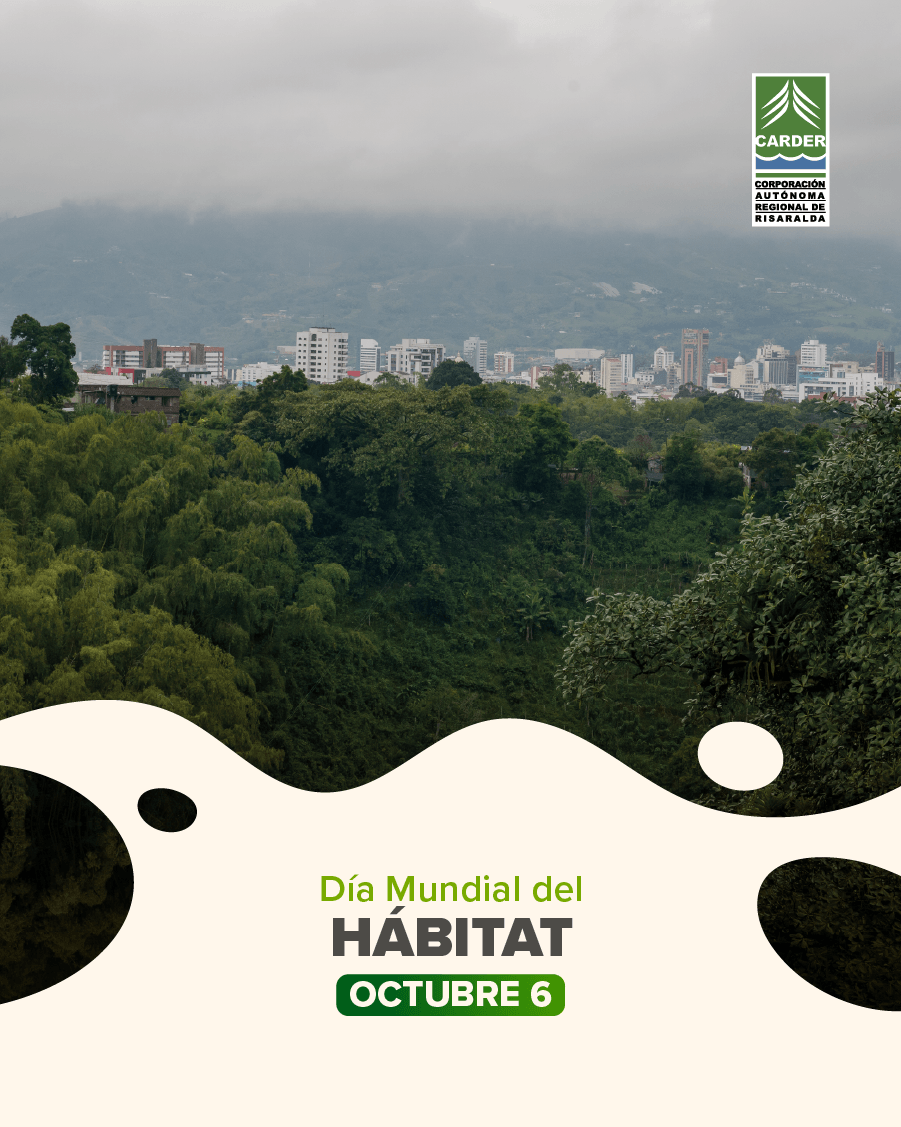 Día Mundial del Hábitat