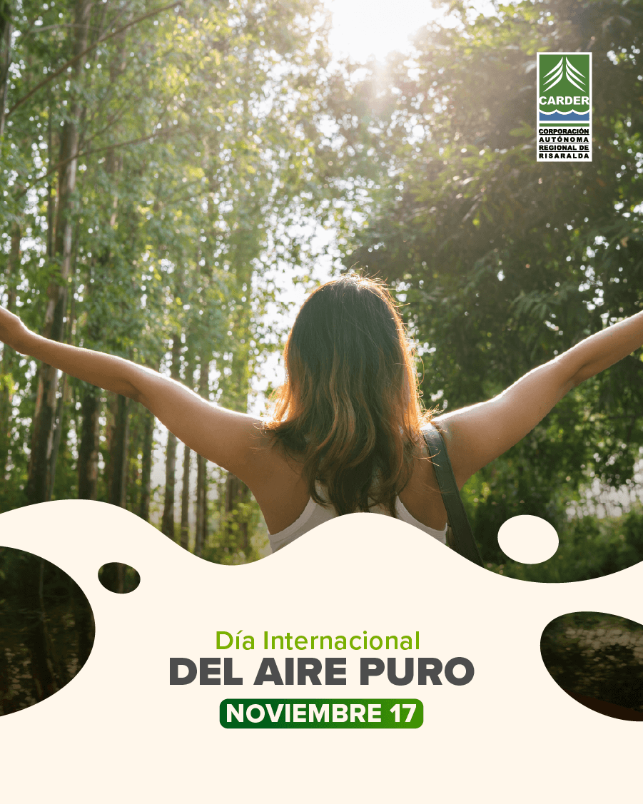 Día Internacional del Aire Puro