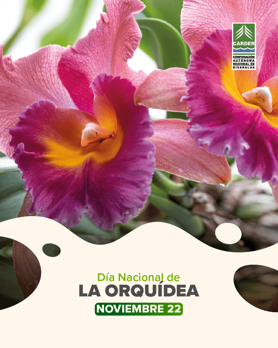 Día Nacional de la Orquídea.