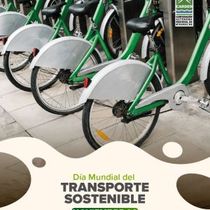 Día Mundial del Transporte Sostenible