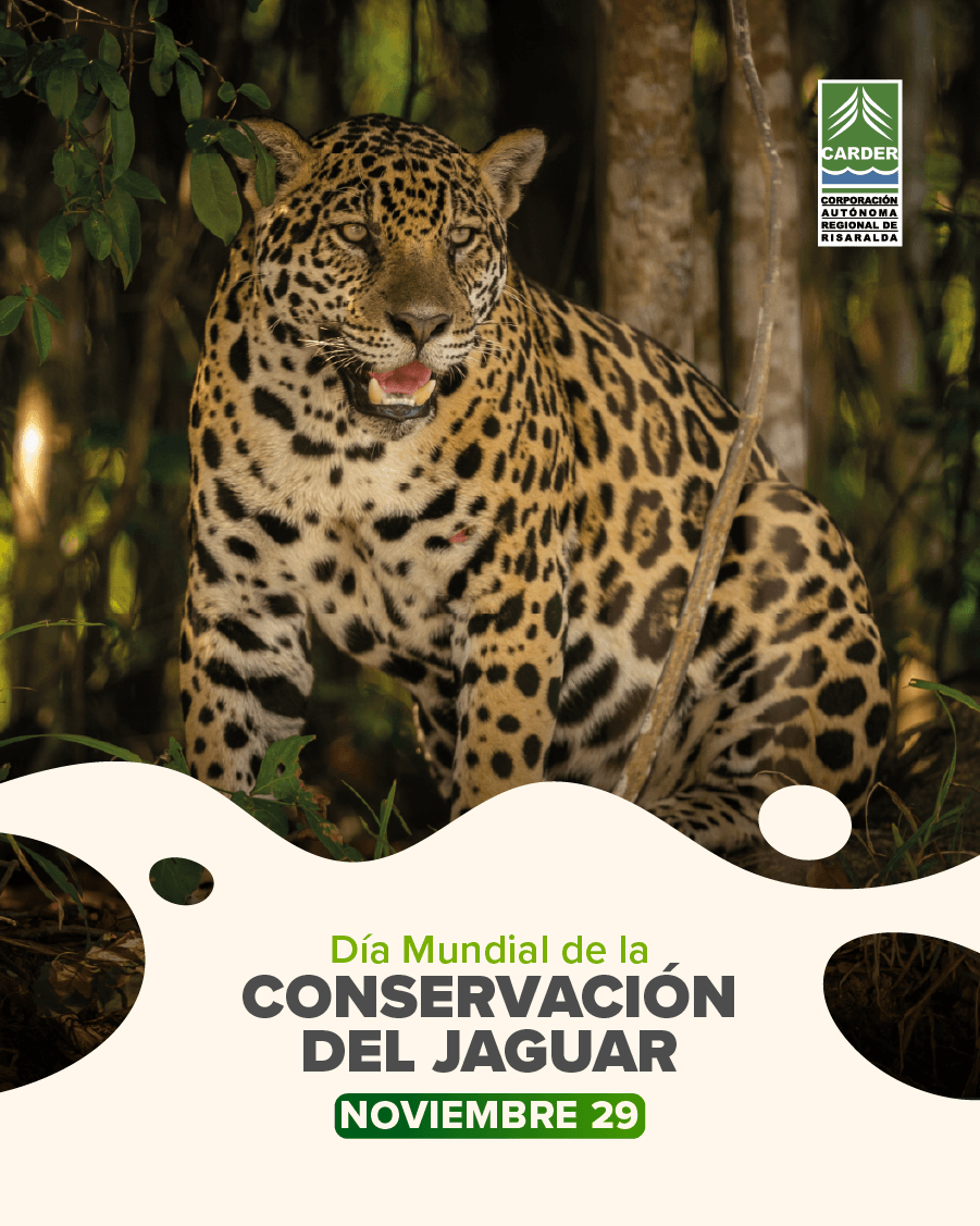 Día Mundial de la Conservación del Jaguar.