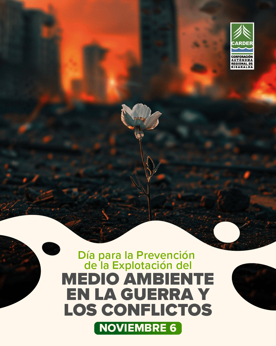 Día para la Prevención de la Explotación del Medio Ambiente en la Guerra y los Conflictos