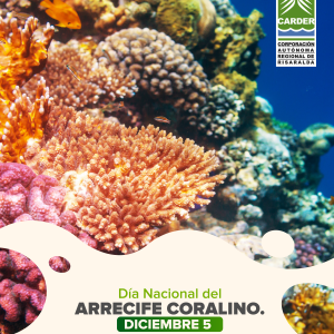 Día Nacional del Arrecife Coralino