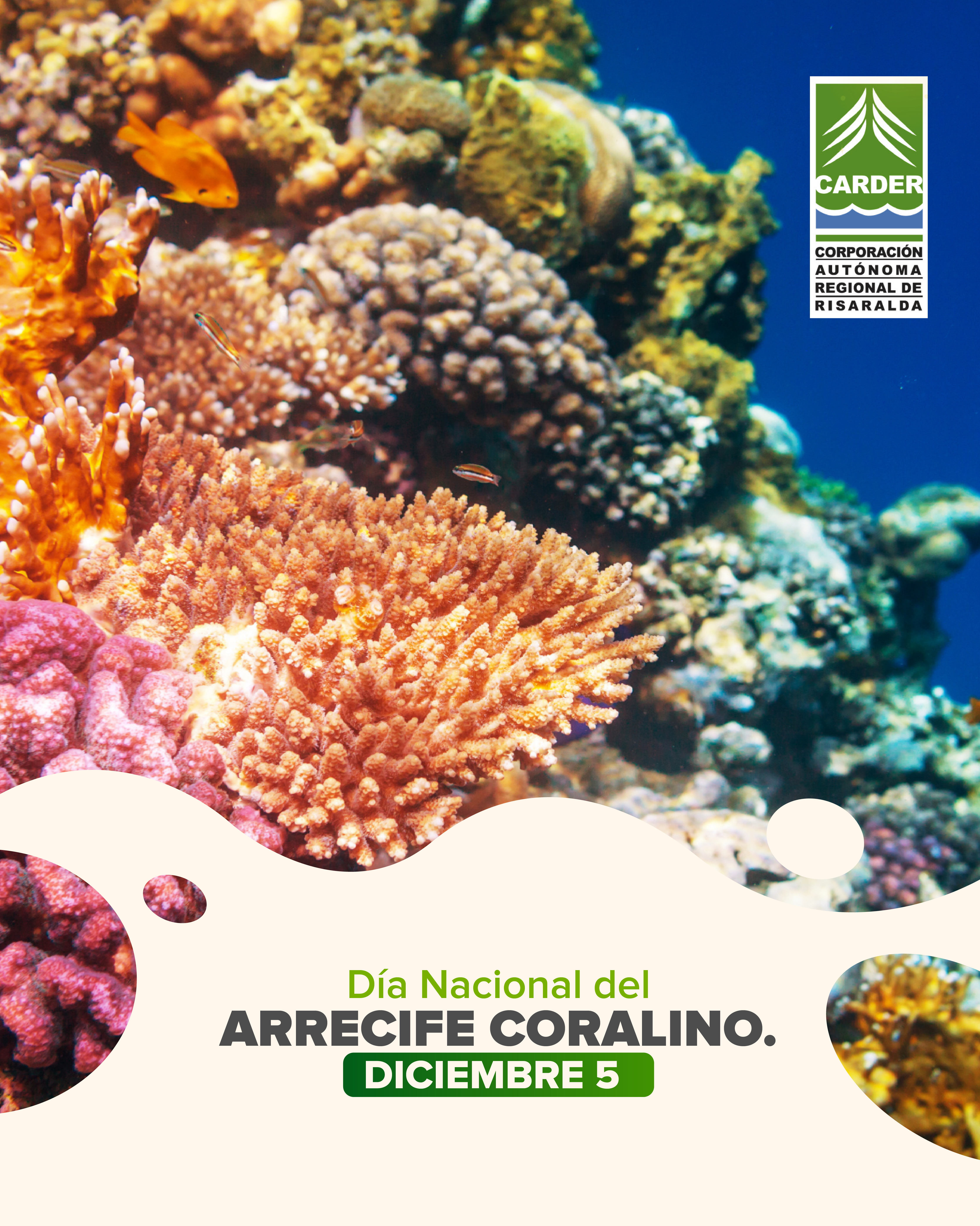 Día Nacional del Arrecife Coralino