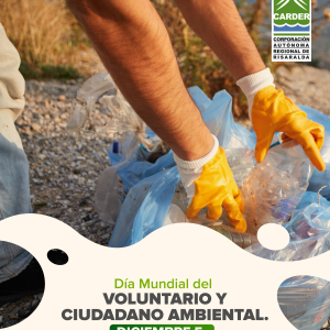 Día Mundial del Voluntario y Ciudadano Ambiental,
