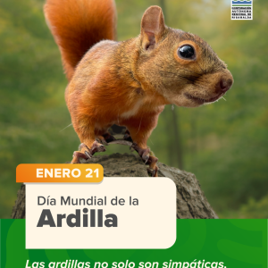 Día Mundial de la Ardilla