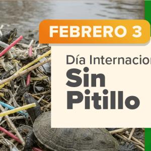 Día Internacional Sin Pitillo