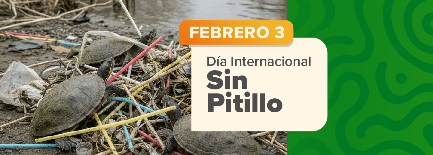 Día Internacional Sin Pitillo