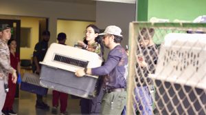 CARDER y el Bioparque Ukumarí fortalecen la protección de la fauna silvestre a través del ‘Arca de Noé’