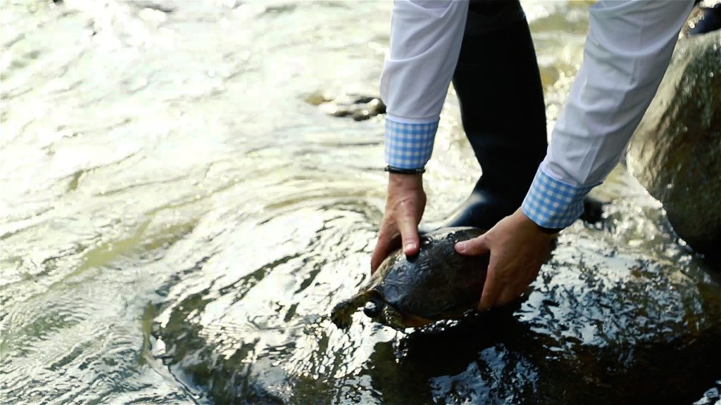 La CARDER realizó 734 liberaciones de fauna en la vigencia 2025