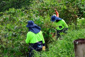 La CARDER acompañó a Control Físico de la Alcaldía de Pereira a recuperar predio del municipio invadido por particulares