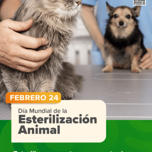 Día Mundial de la Esterilización Animal