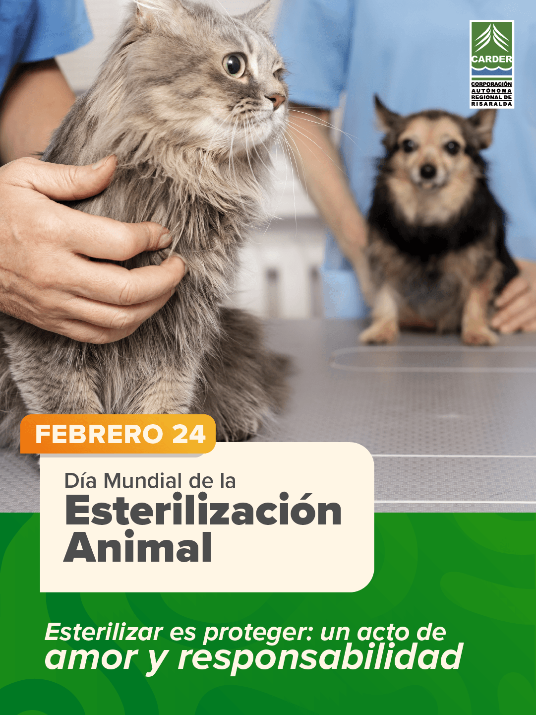 Día Mundial de la Esterilización Animal