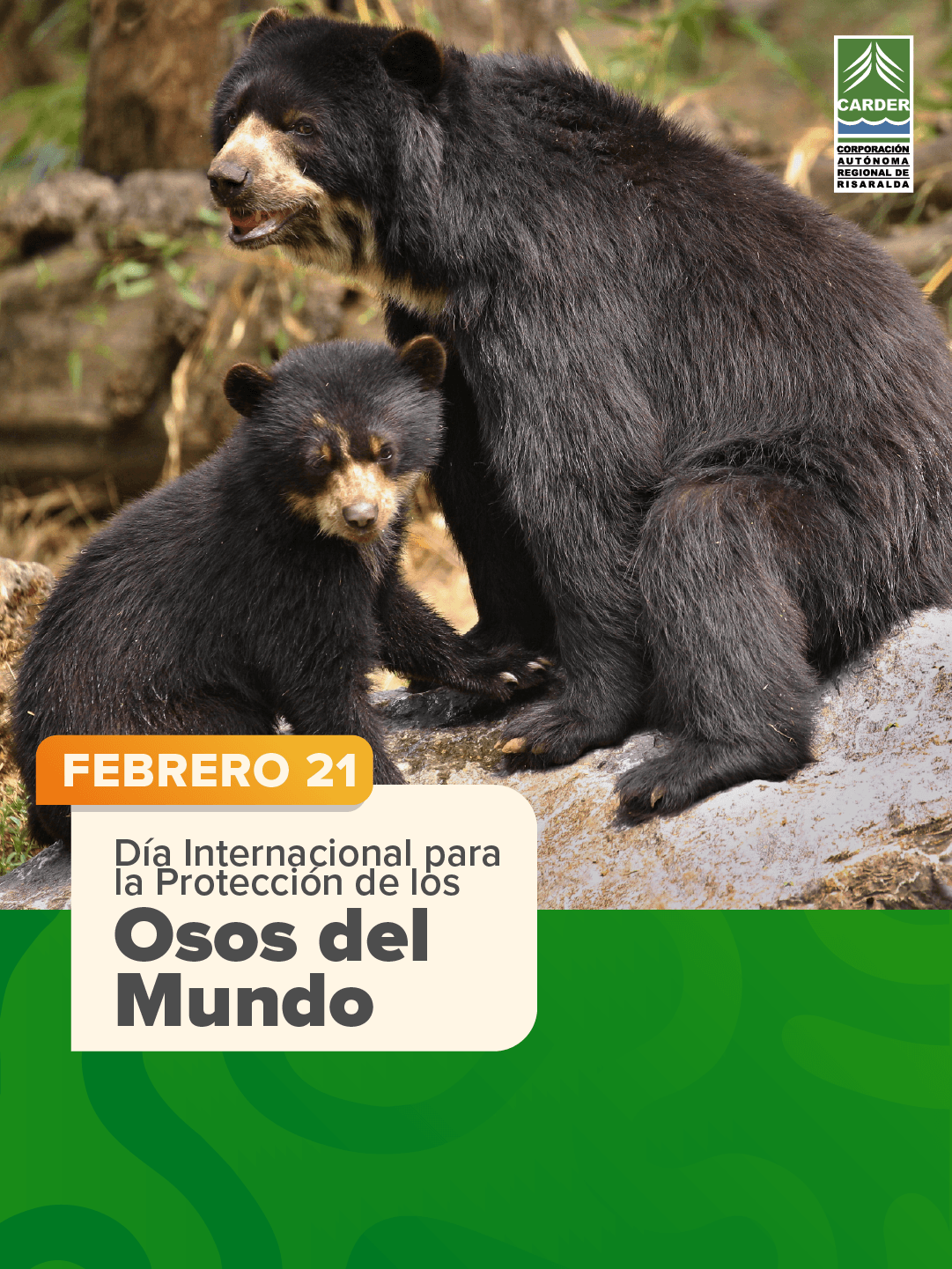 Día Internacional para la Protección de los Osos del Mundo