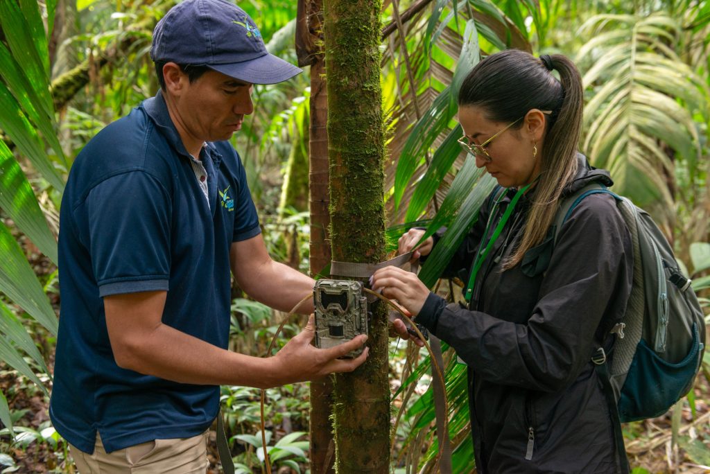 Investigación de la CARDER sobre la danta de montaña es publicada en una revista científica internacional